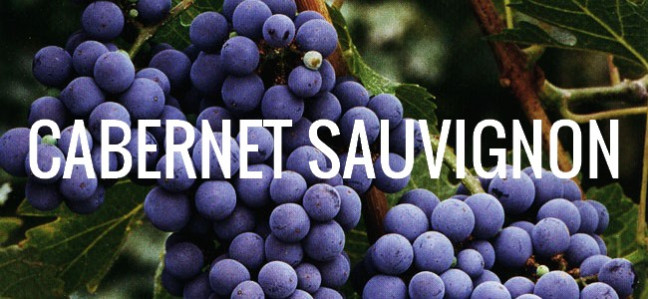 Cabernet-Sauvignon-Grapes-nho