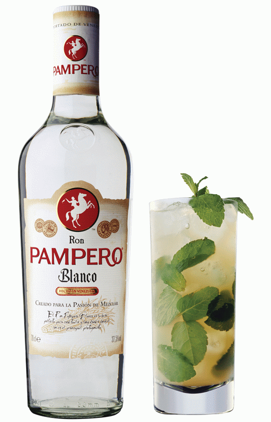 Image-pampero-flasche-2-blanco-mit-eis