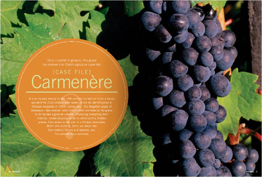 carmenere-grapes1
