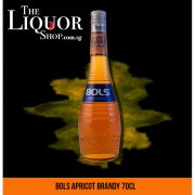 RƯỢU BOLS APRICOT BRANDY