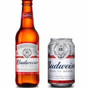  BIA BUDWEISER 330 ml