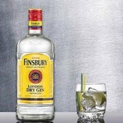 Rượu Gin & Rượu quả bách xù 