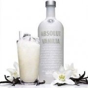 ABSOLUT VANILIA 