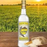 RƯỢU LÚA MỚI 500 ml