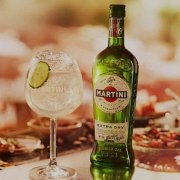 RƯỢU MARTINI EXTRA DRY