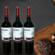 RƯỢU VANG AMOR DE CHILE CABERNET SAUVIGNON