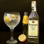 Seagram's Extra Dry Gin