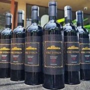 RƯỢU VANG Ý SOLE D'ITALIA CHÁT