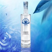 BLUEBIRD VODKA