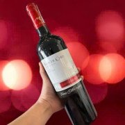 RƯỢU VANG AMOR DE CHILE CABERNET SAUVIGNON 