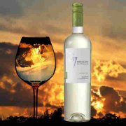 RƯỢU VANG CHILE G7 SAVIGNON BLANC TRẮNG