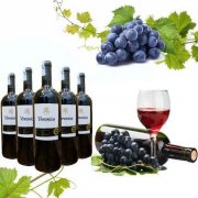 RƯỢU VANG Ý VERONICA ( CHÁT )