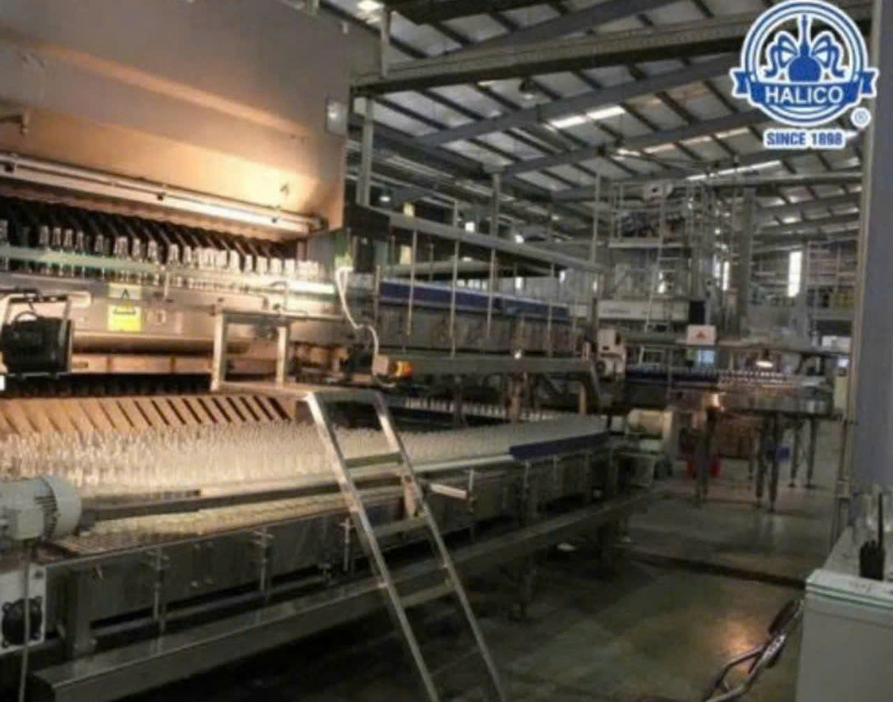 Dong-Can-2-lit-ruou-ha-noi-HALICO