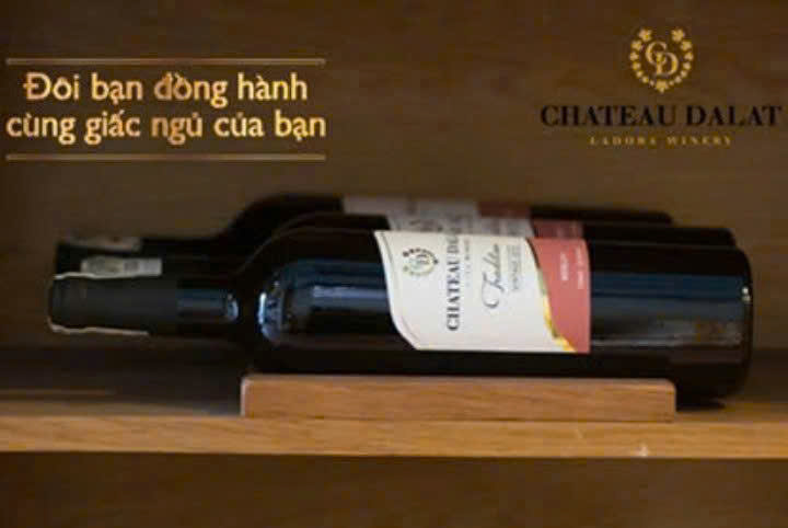 Gioi-thieu-chateau-dalat-tradition-cabernt-sauvignon-va-merlot