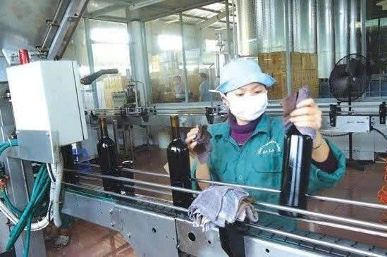 dong-chai-Chateau-Dalat-Tradition-Merlot