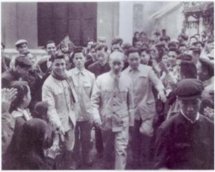 bac-ho-ghe-tham-halico