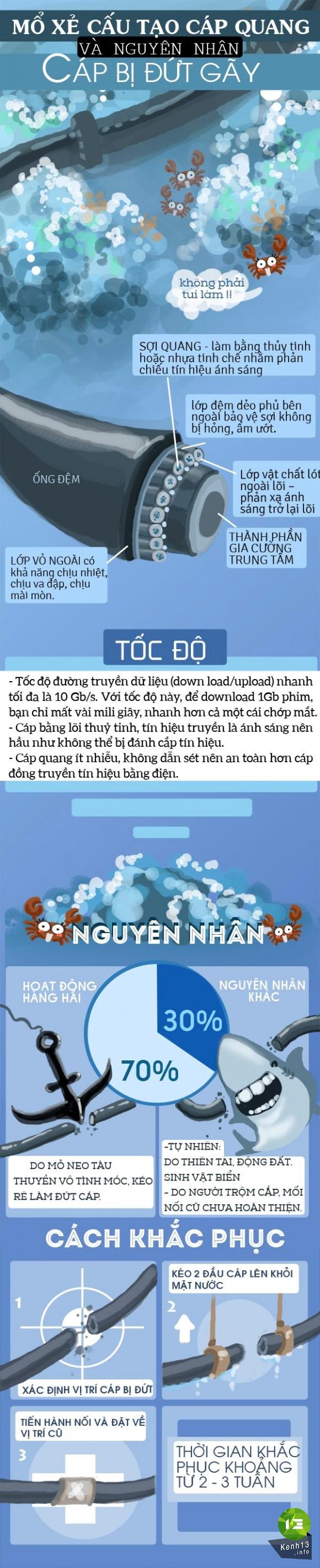 nguyen-nhan-dut-cap-quang