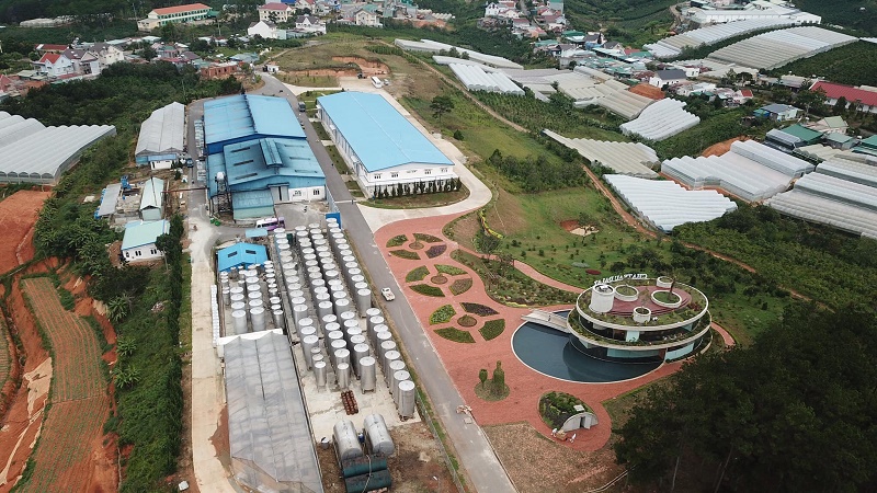 nha-may-SX-vang-Da-lat-ladofoods