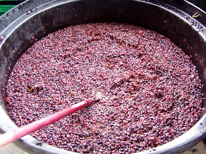 red-wine-grapes-fermenting LÊN MEN