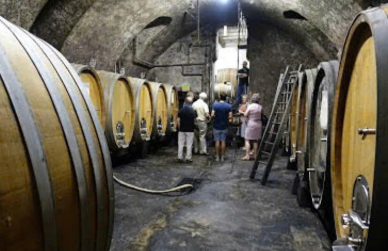 Amor-De-Chile-Hop-5-Lit-duoc-u-trong-thung-go-soi