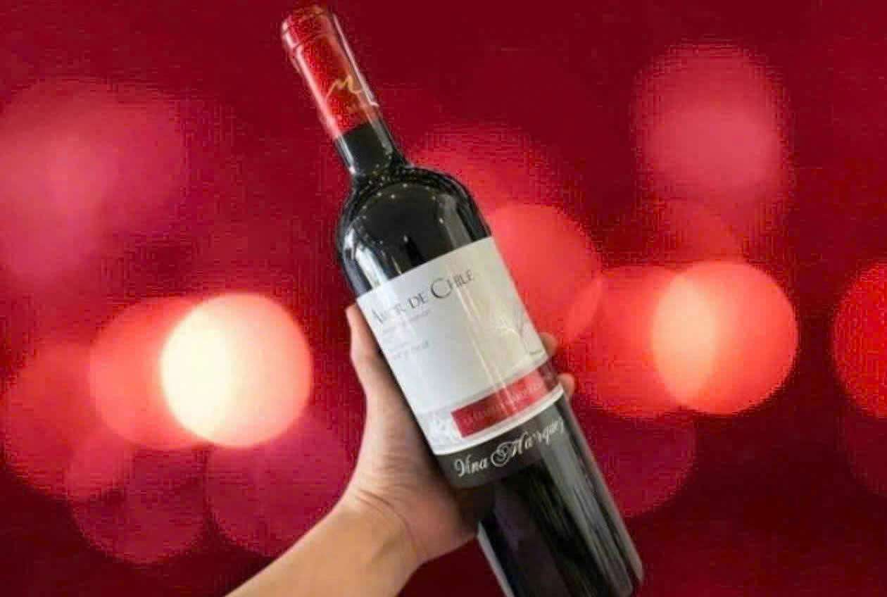 Gioi-thieu-Amor-De-Chile-Cabernet-sauvignon-DO-gia-re