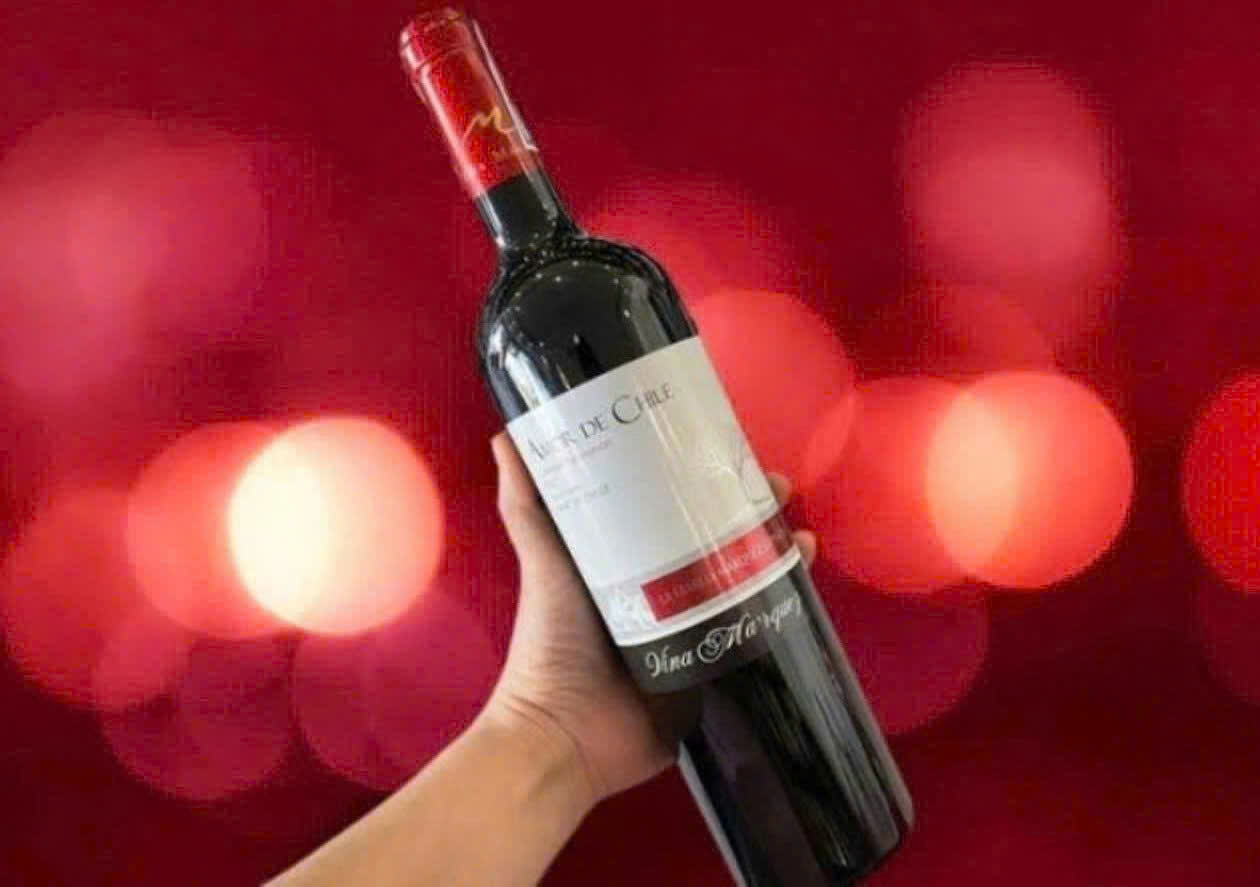 Gioi-thieu-chile-Amor-Cabernet-sauvignon-DO-gia-re