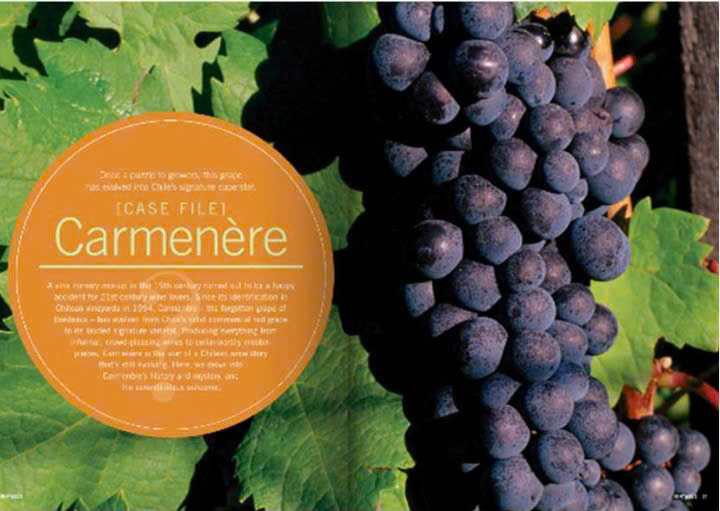 Nho-Carmenere-lam-vang-San-Marino-Reserve