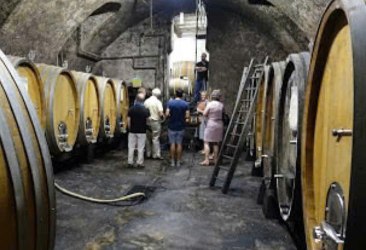 U-vang-San-Marino-Cabernet-Sauvignon