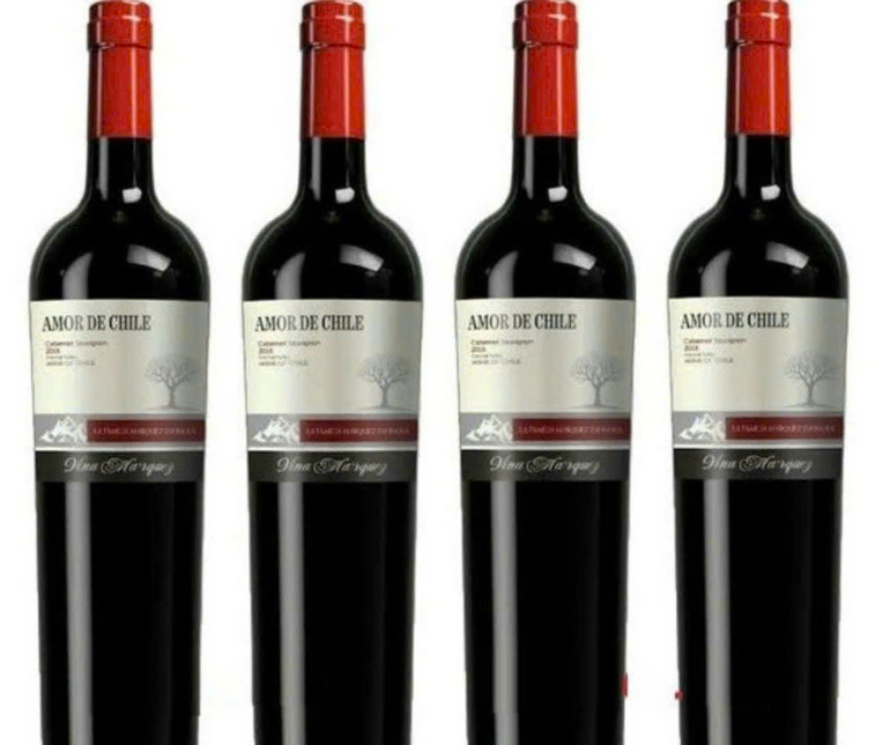 trung-bay-vang-chile-Amor-Cabernet-sauvignon-75-cl