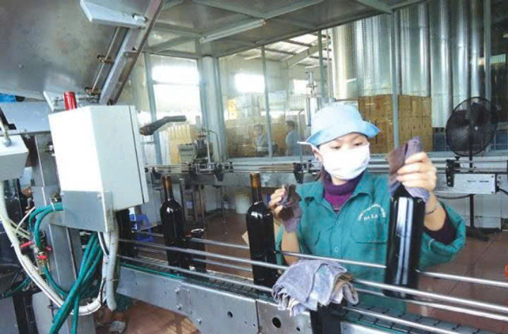 Dong-chai-vang-V-Da-Lat-premium-red