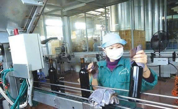 dong-chai-vang-da-lat-do-cua-LADOFOODS