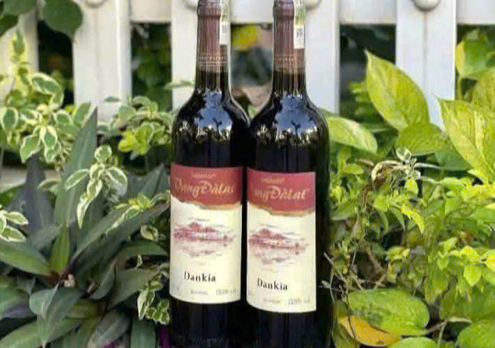 Bay-mau-vang-da-lat-dankia-do-MAU MOI-ladofoods-2