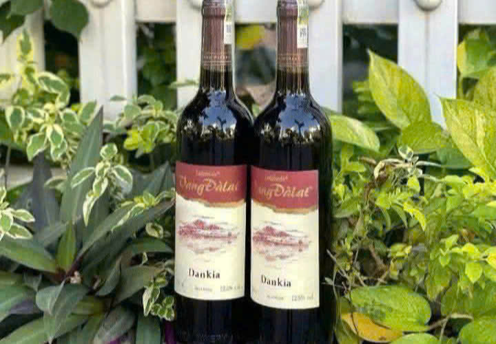 Bay-mau-vang-da-lat-dankia-do-MAU MOI-ladofoods