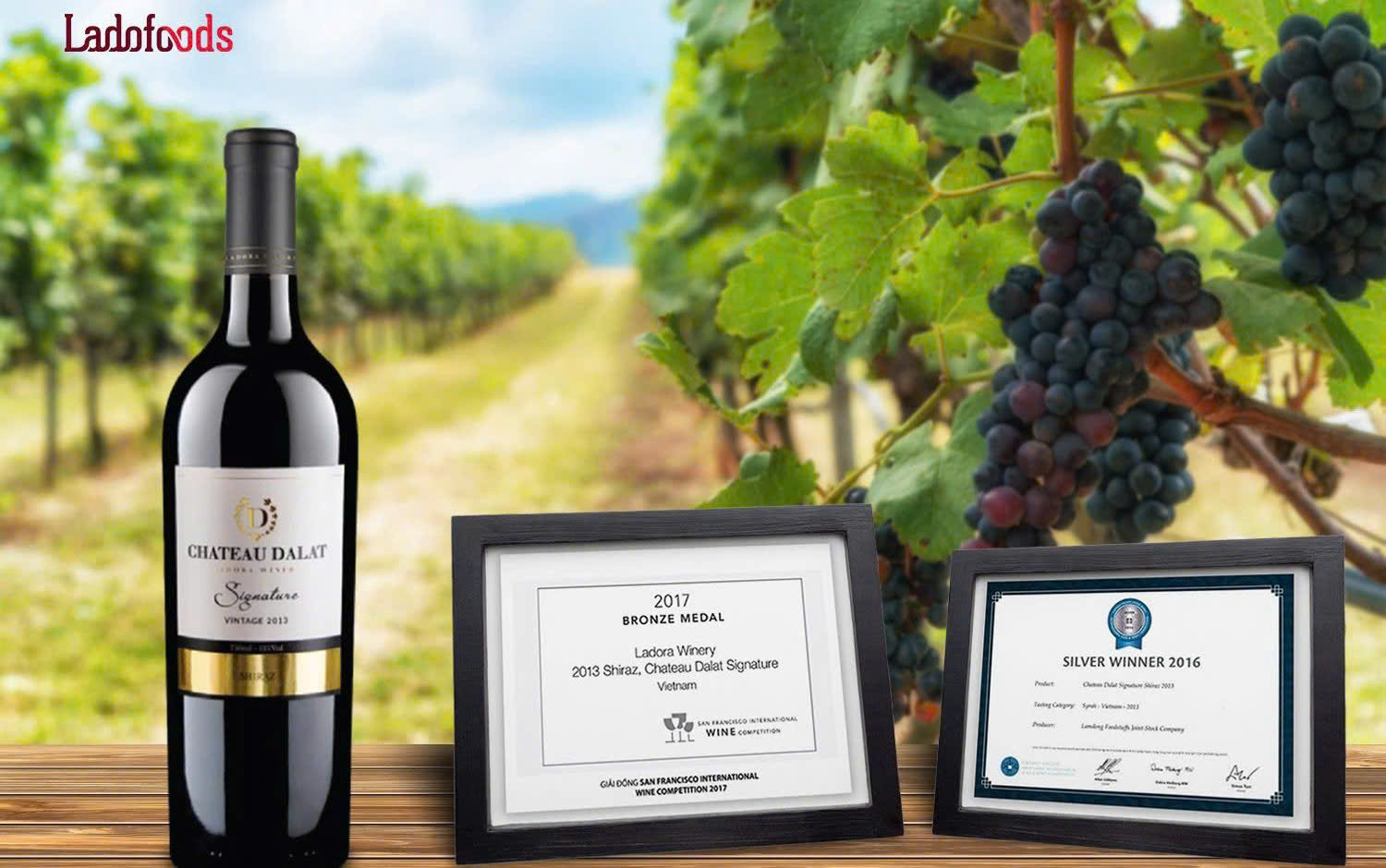 Giai-thuong-quoc-te-cho-signature-shiraz-13-do