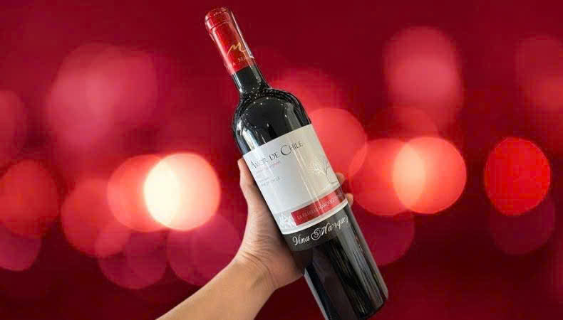 Gioi-thieu-amor-de-chile-cabernet-sauvignon-750ml