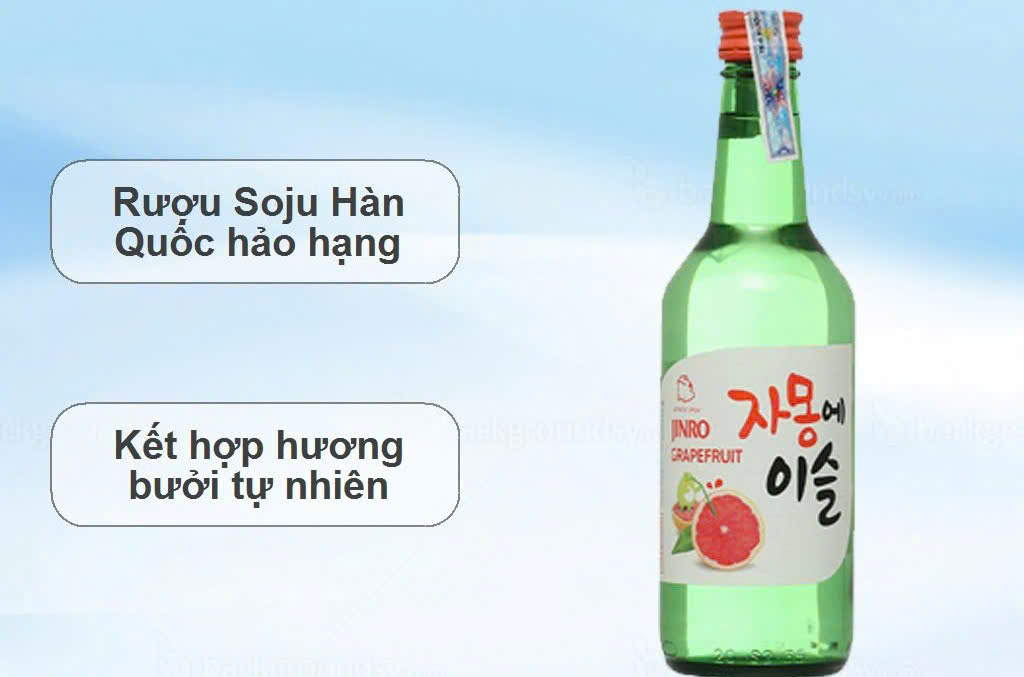 Gioi-thieu-soju-jinro-vi-buoi-13do-chai-360ml
