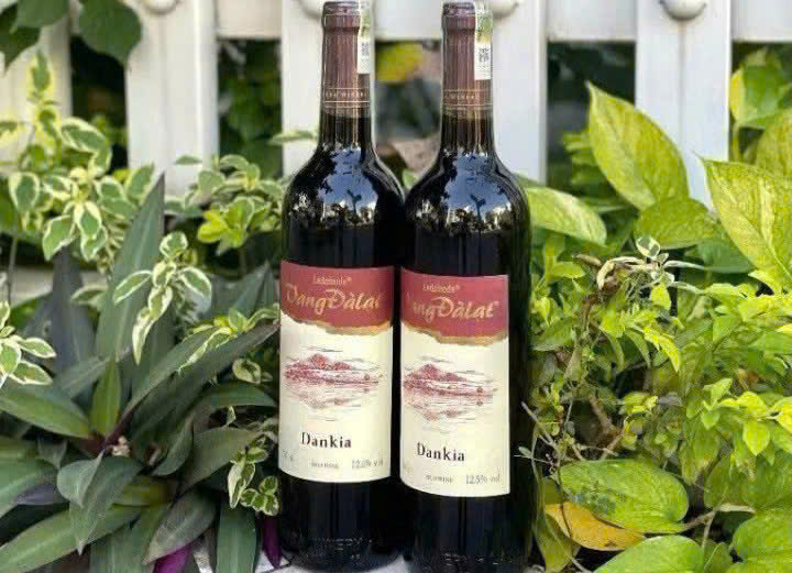 Gioi-thieu-vang-da-lat-Dankia-red-gia-re