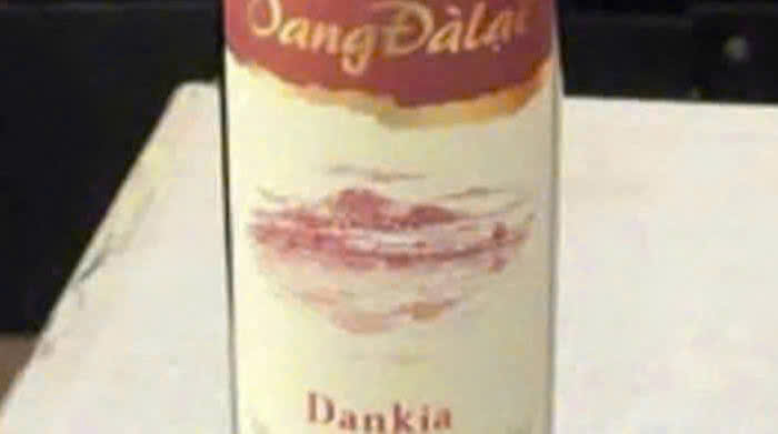 LOGO-vang-da-lat-dankia-do-MAU MOI-4