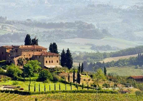 Mot-vuon-nho-tai-nuoc-Y