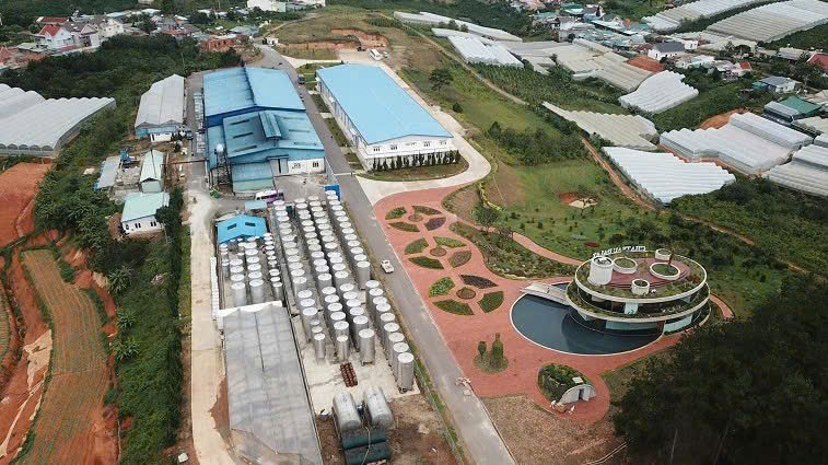 Nha-may-san-xuat-vang-Da-lat-export-tai-lam-dong