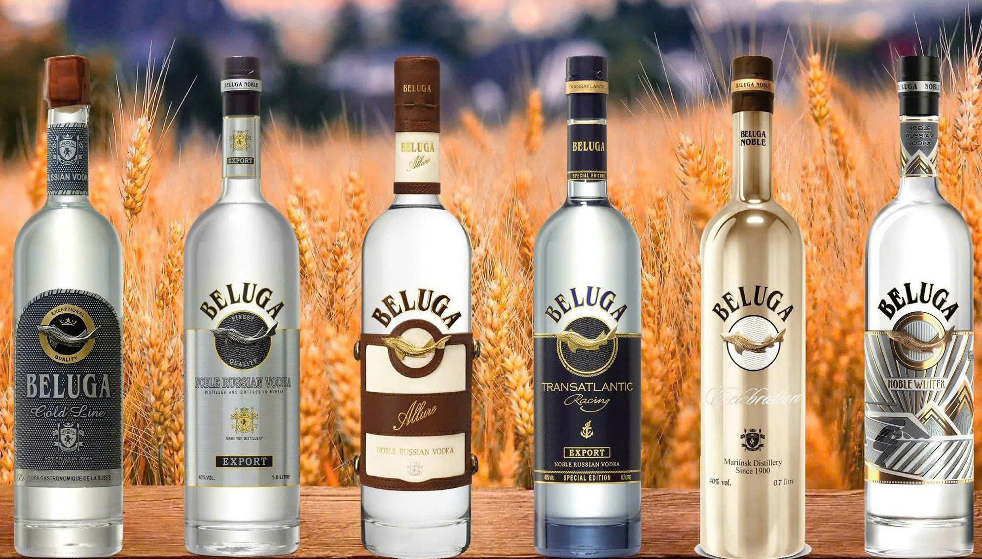 Nhung-loai-Beluga-vodka-cua-Synergy