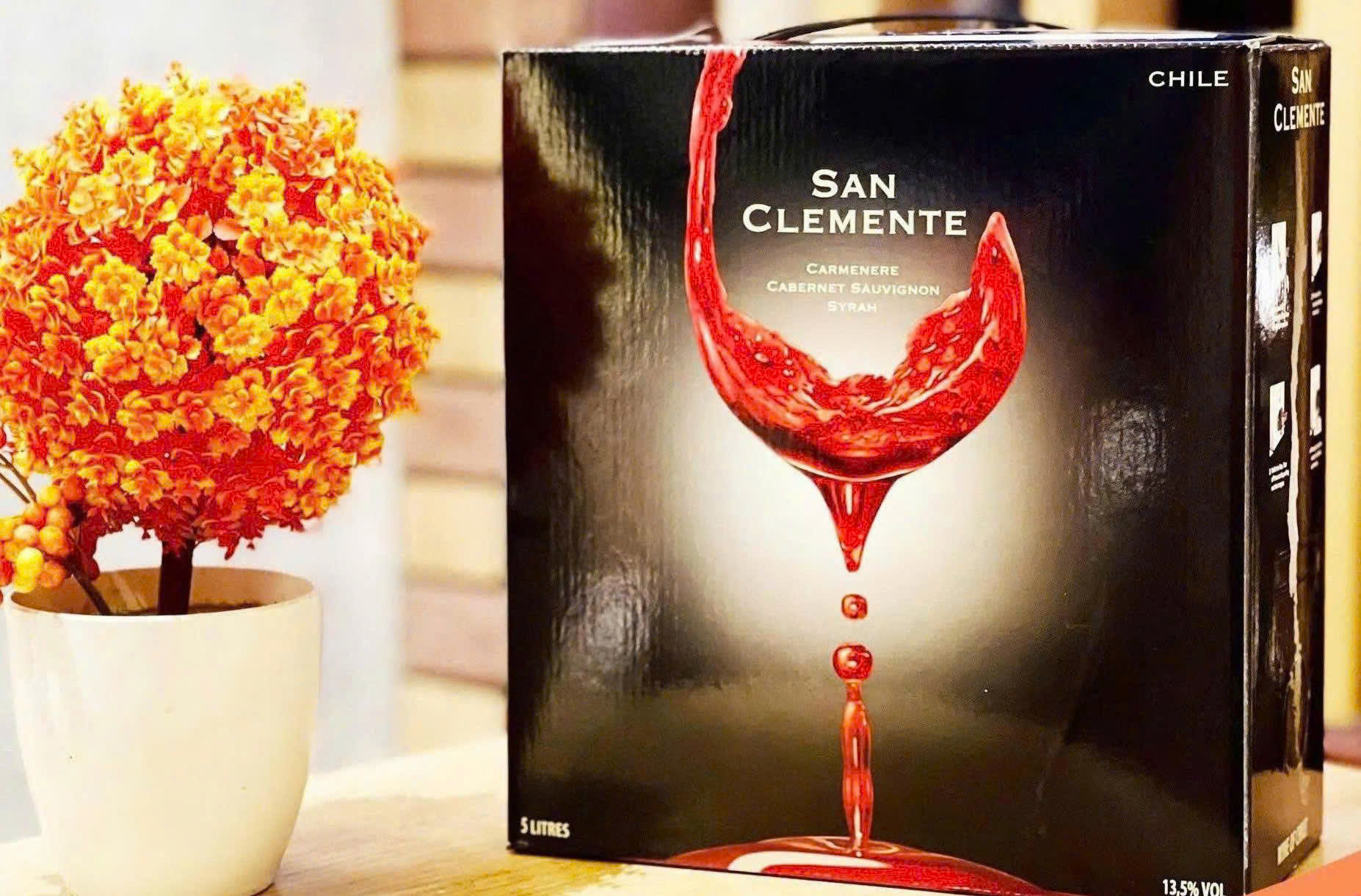 San-Clemente-5-Lit-mua-o-dau-gia-re