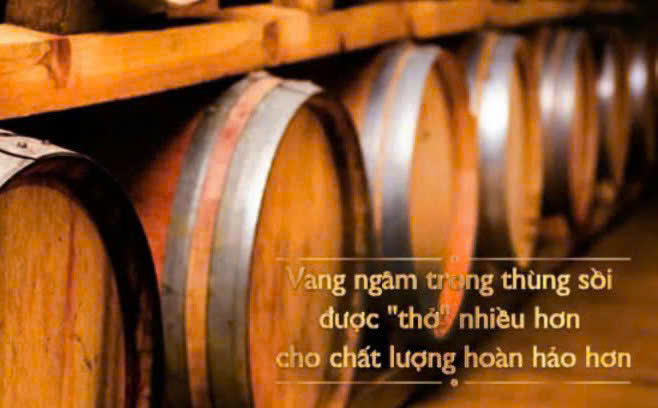 U-vang-Special-CS