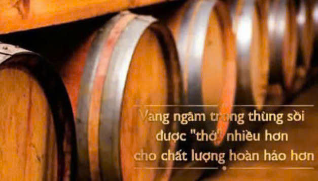 U-vang-Tradition-CS-750ml-Ladofoods