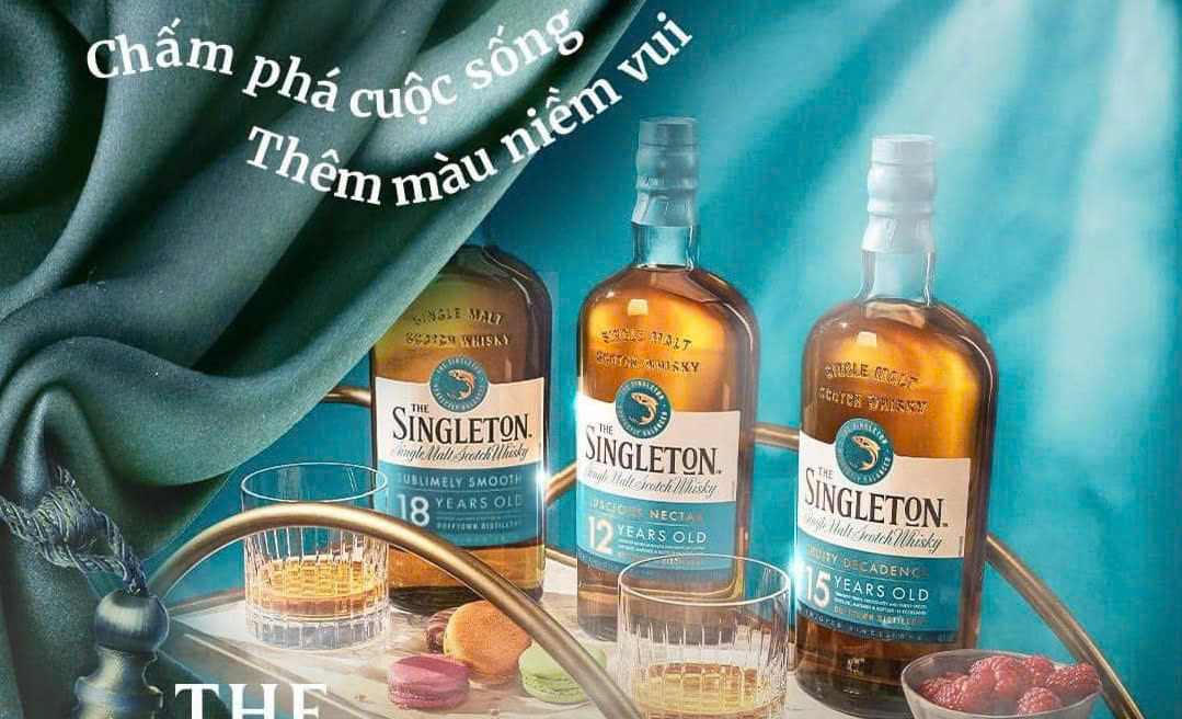 cac-loai-singleton-tai-thi-truong-viet-nam