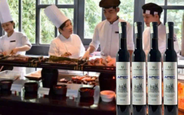 chateau-dalat-apec-2017-tại-hoi-nghi-Apec-2027-Viet-Nam