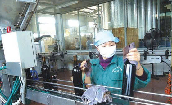 dong-chai-specoial-merlot-750-ml-tai-LADOFOODS