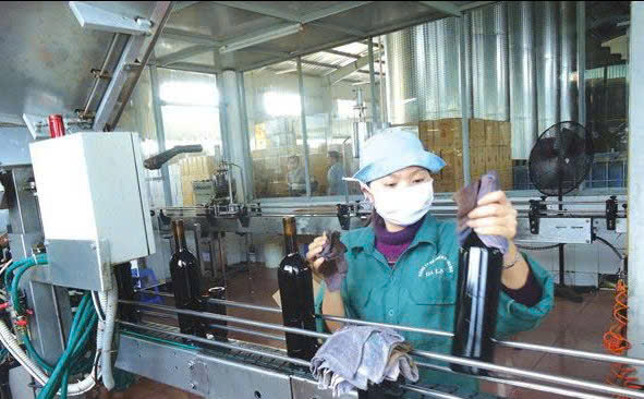 dong-chai-vang-da-lat-do-750-ml-LADOFOODS