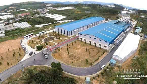 khu-san-xuat-ruou-vang-dalat