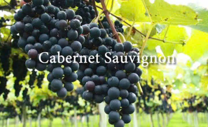nho-Cabernet-Sauvignon-lam-Louis-5lit